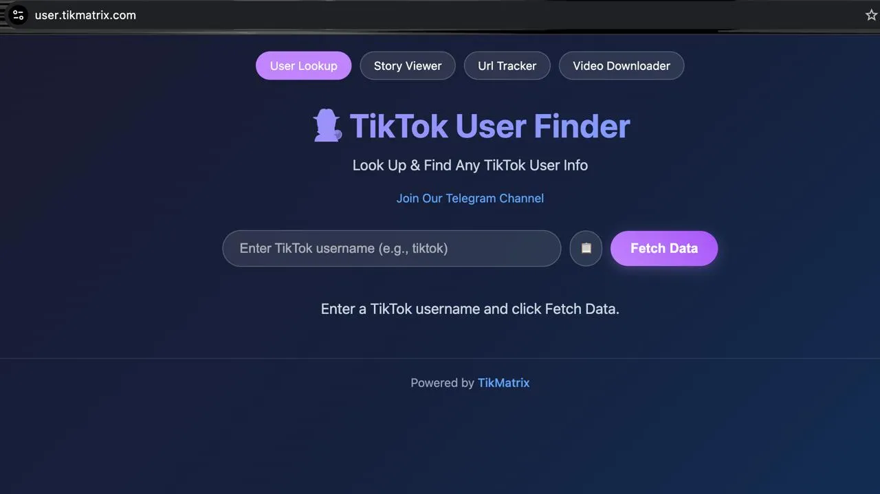 TikMatrix — חיפוש משתמשי TikTok